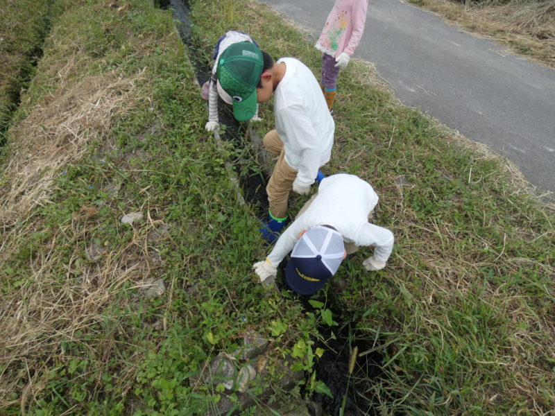 用水路