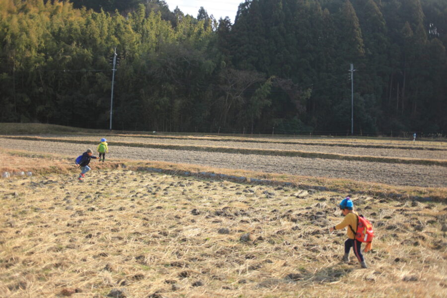 田んぼで遊ぶ