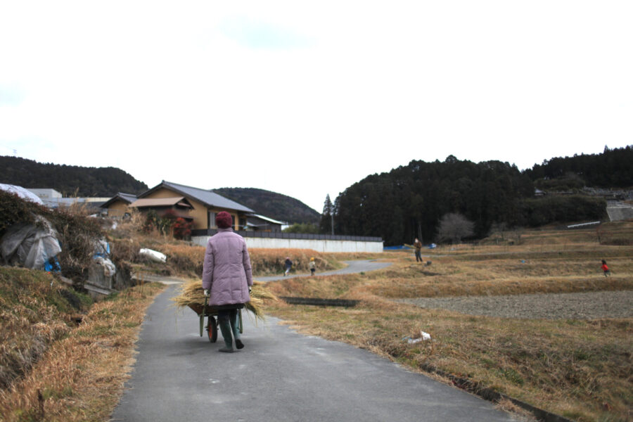 ワラを運ぶ
