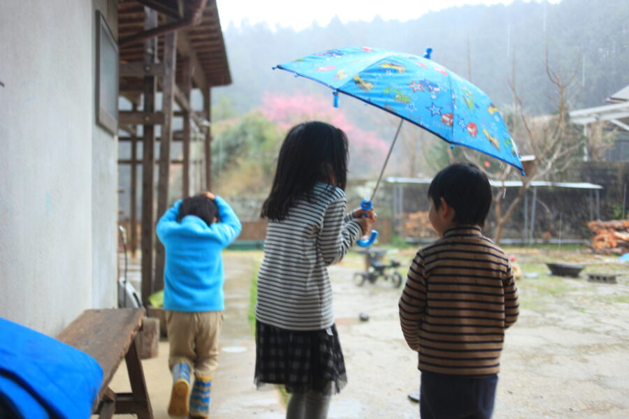 雨の庭に出る