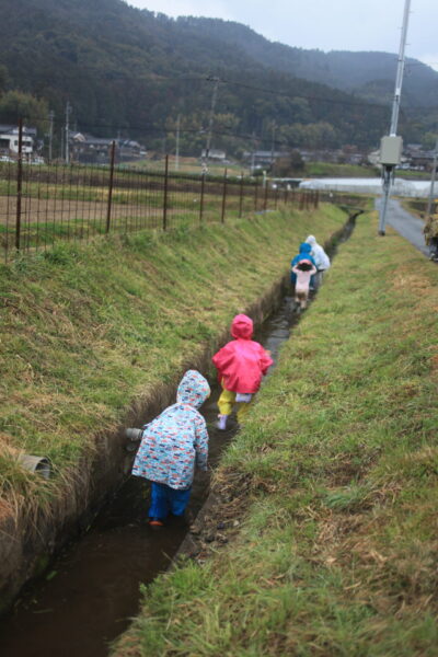 みんなで川の中を歩く