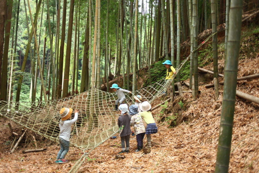 網で遊ぶ