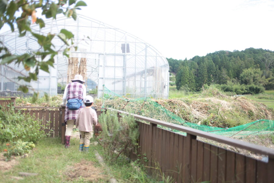 畑へ