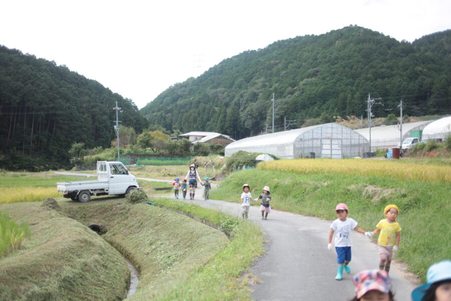農道を歩く