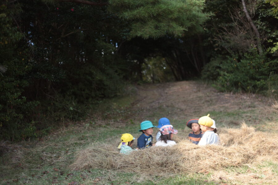 枯れ草の家