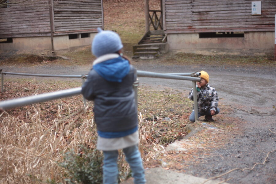 パイプに蔦を通す