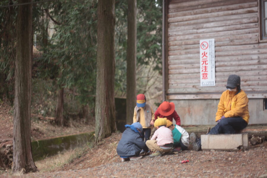 幼虫を見る