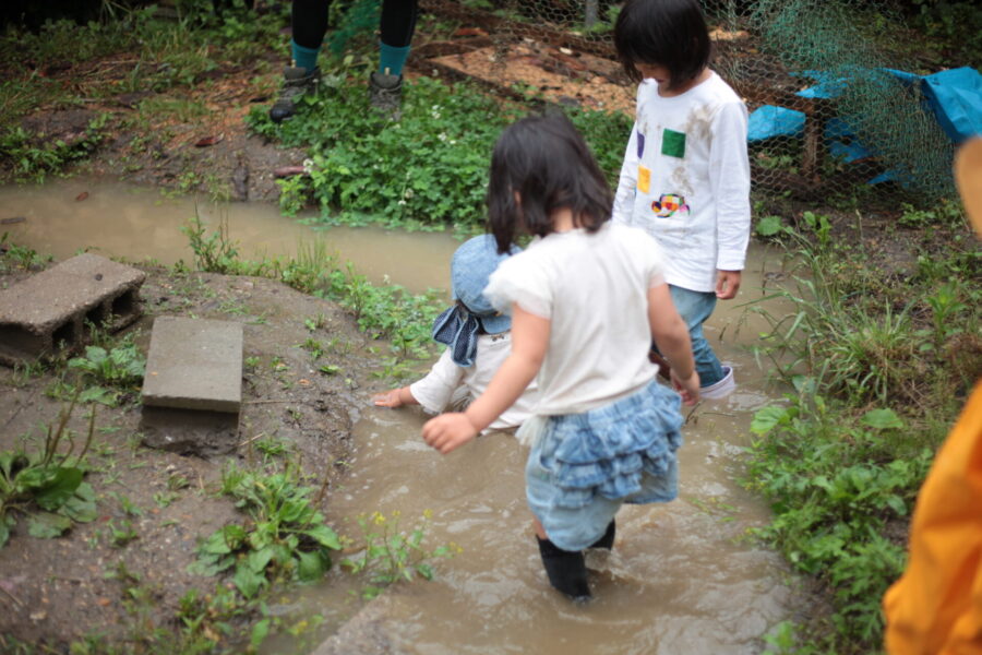 川に入る