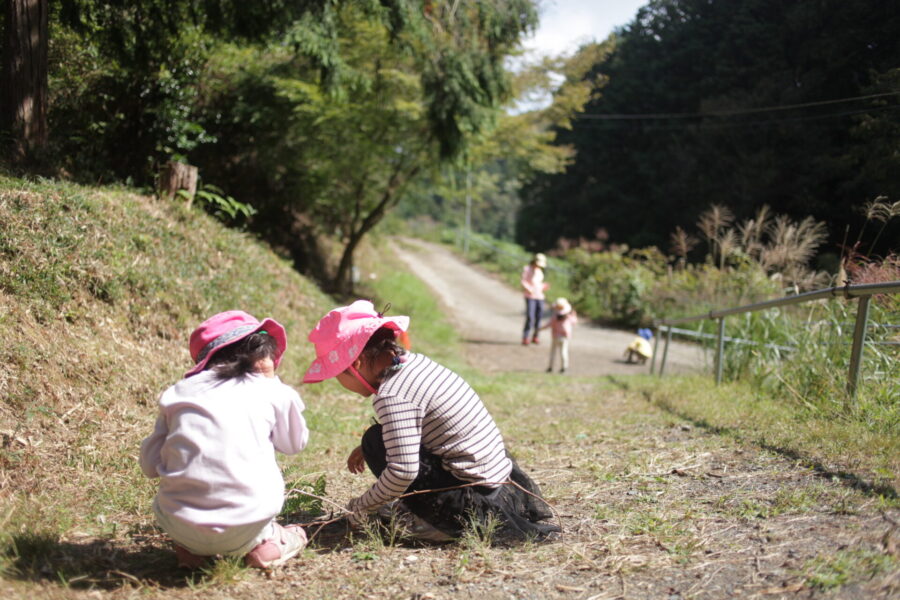 カマキリと遊ぶ