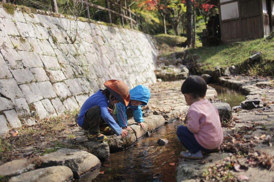 生き物探し
