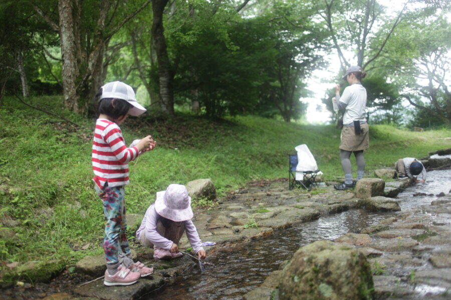 魚釣り遊び