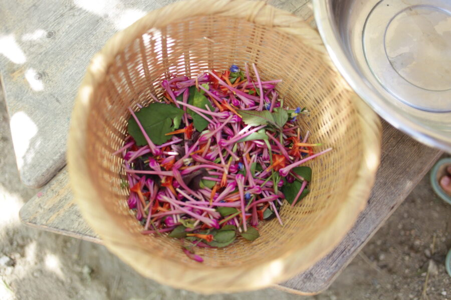 大量の花