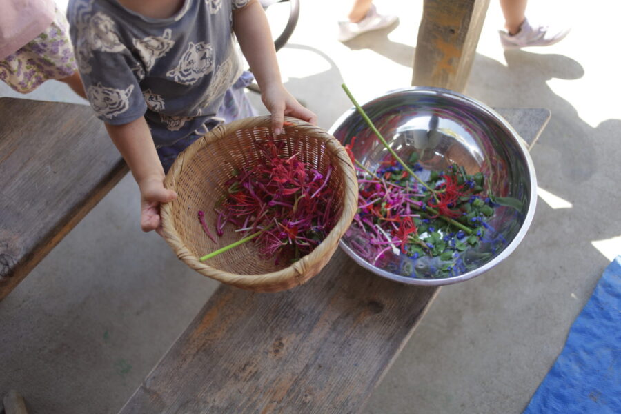 大量の花