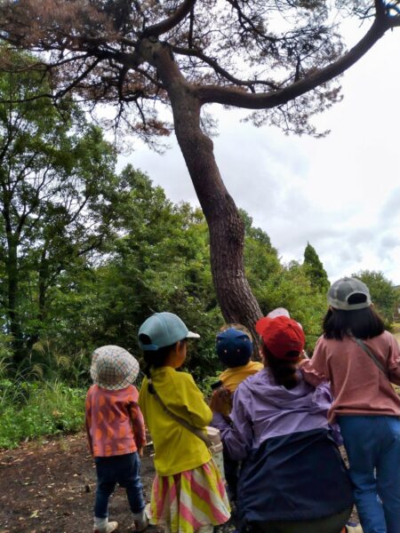 カマキリを見上げる