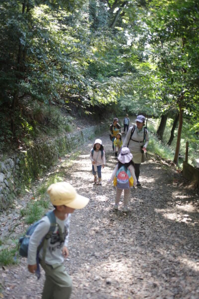 合流して山登り開始