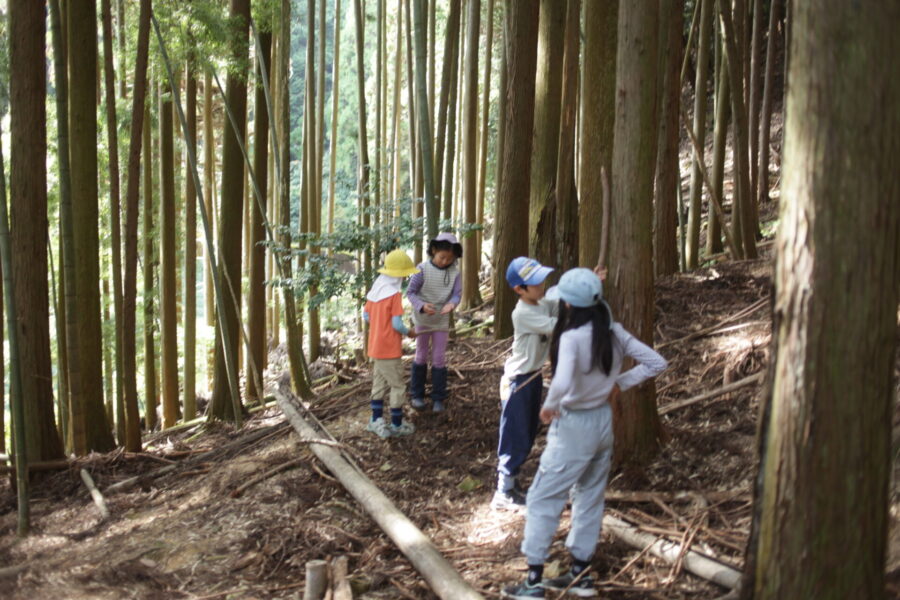 秘密基地をつくる