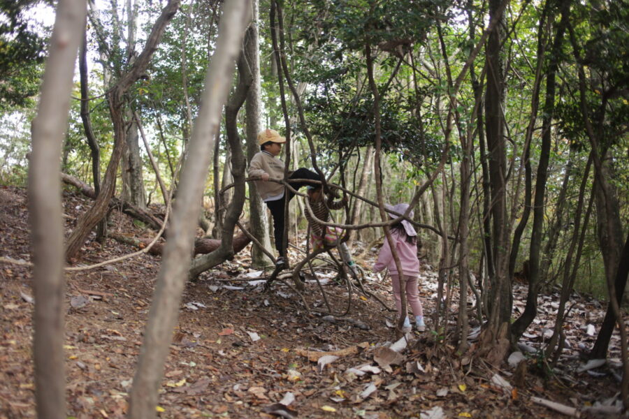 秘密基地で遊ぶ